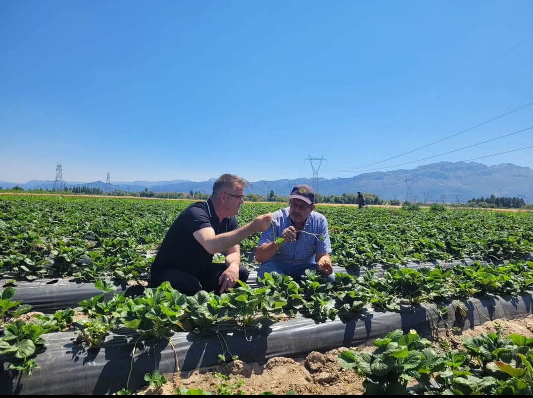 SEYDİŞEHİR ÇİLEĞİ TESCİLLENDİ 