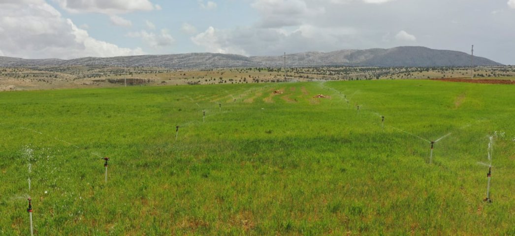 KARAMAN MERKEZ TAŞKALE GÖLETİ VE SULAMASI İNŞAATINDA ÇALIŞMALAR TAMAMLANDI