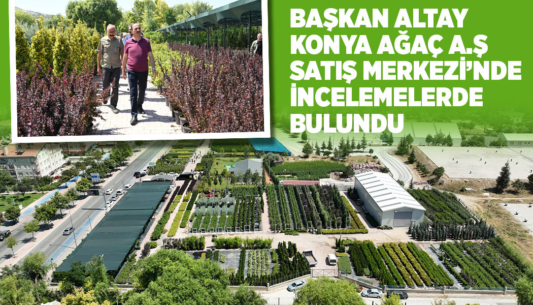 Başkan Altay, Büyükşehir Belediyesi iştiraklerinden Konya Ağaç A.Ş. Satış Merkezi’nde incelemelerde bulundu. 