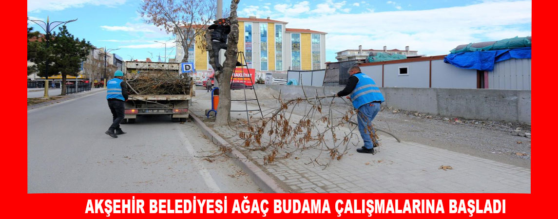 AKŞEHİR BELEDİYESİ AĞAÇ BUDAMA ÇALIŞMALARINA BAŞLADI