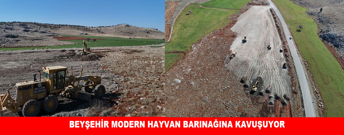 BEYŞEHİR MODERN HAYVAN BARINAĞINA KAVUŞUYOR