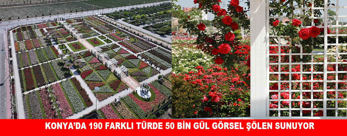 KONYA’DA 190 FARKLI TÜRDE 50 BİN GÜL GÖRSEL ŞÖLEN SUNUYOR