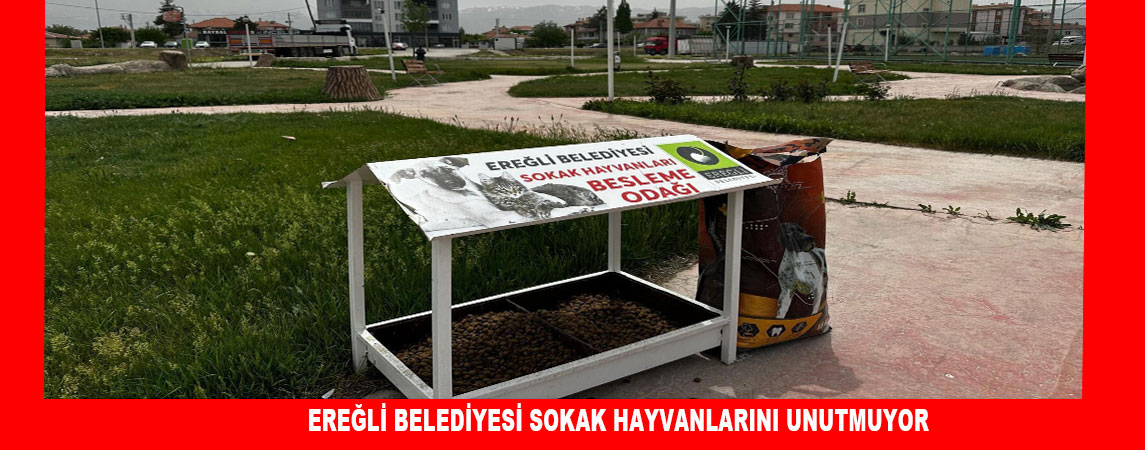 EREĞLİ BELEDİYESİ SOKAK HAYVANLARINI UNUTMUYOR