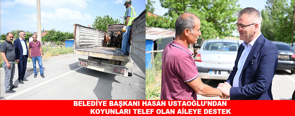 BELEDİYE BAŞKANI HASAN USTAOĞLU’NDAN KOYUNLARI TELEF OLAN AİLEYE DESTEK